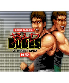 Retro Classix: Bad Dudes Steam Key GLOBAL